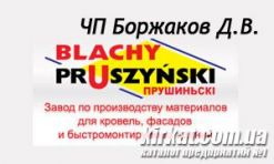 Боржаков Д.В., ЧП, кровельные материалы