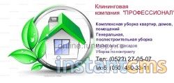 Профессионал, клининговая компания