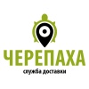 Черепаха, служба доставки еды и грузов в Кропивницком