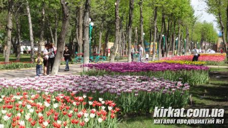 Кировоград Дендропарк (фото) 21