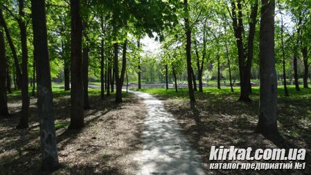 Кировоград Дендропарк (фото) 6