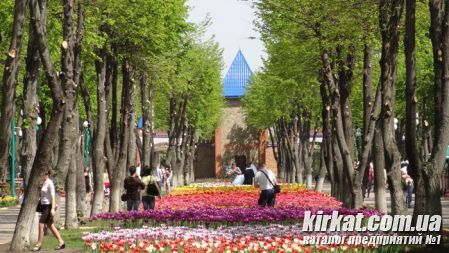 Кировоград Дендропарк (фото) 22