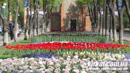 Кировоград Дендропарк (фото) 18