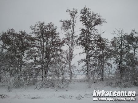 Кировоград фото №190