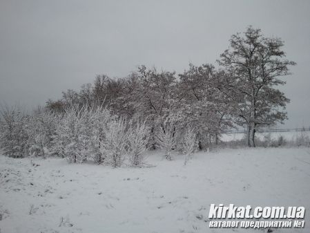 Кировоград фото №191