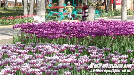 Кировоград Дендропарк (фото) 20