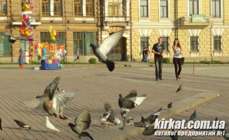 Площадь Кирова Кировоград (фото) 5