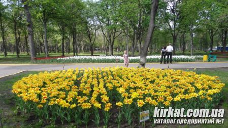 Кировоград Дендропарк (фото) 7