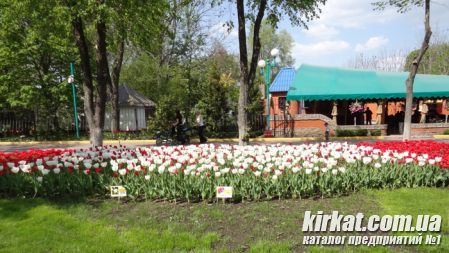 Кировоград Дендропарк (фото) 8