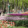 Кировоград Дендропарк (фото) 21