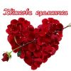 Живые цветы в Кировограде