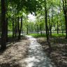 Кировоград Дендропарк (фото) 6