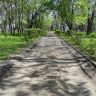Кировоград Дендропарк (фото)