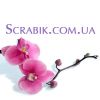 Scrabik.com.ua - интернет-магазин полимерной глины и фурнитуры в Кировограде