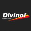 Моторные масла ТМ Divinol в Кировограде - присоединяйтесь к лидеру!