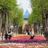 Кировоград Дендропарк (фото) 22