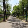 Кировоград Дендропарк (фото) 14