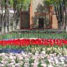 Кировоград Дендропарк (фото) 18