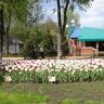 Кировоград Дендропарк (фото) 8