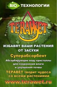 terawet