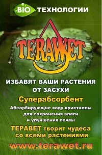 terawet