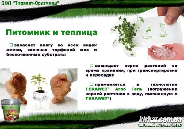 06.jpg
