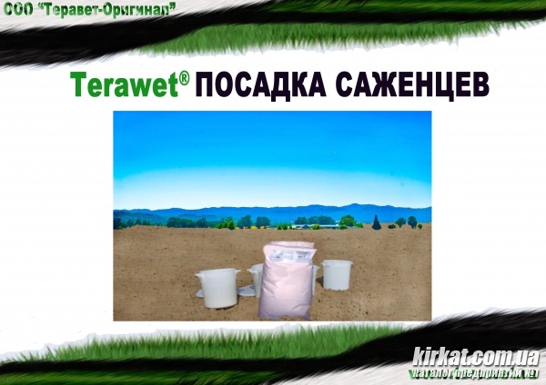 09.jpg