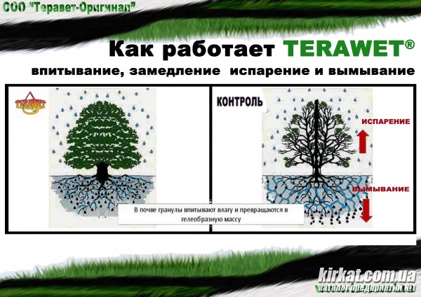 04.JPG