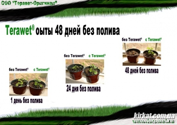 08.jpg