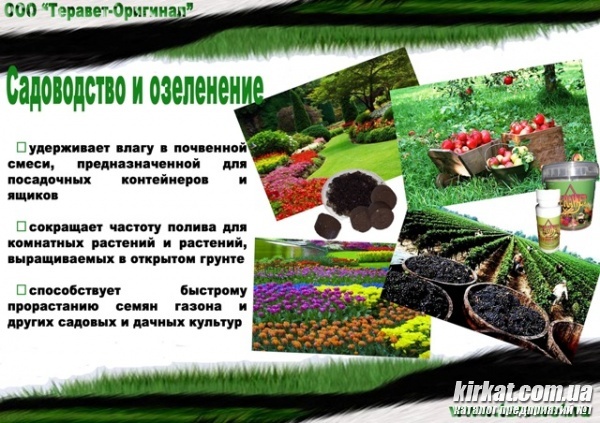 07.jpg