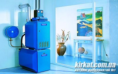 photo-kotly.jpg