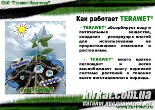 03.jpg