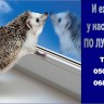 и ежу понятно.png