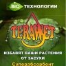перфо_ЖИВАЯ ВОДАя.jpg