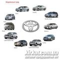 Мотор-Олві, автосалон Toyota