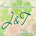 J&T, курси англійської мови