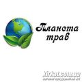 Планета трав, лікарські трави та збори