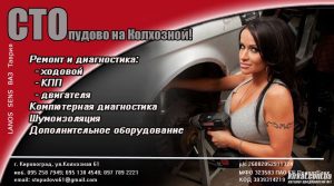 СТОпудово на Колгоспній, автосервіс