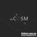 inCOSM, digital-агентство